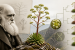 Scientists Validate Darwin’s Theory in Saxifraga candelabrum