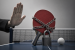 Sports Ministry Suspends Table Tennis Federation of India Recognition