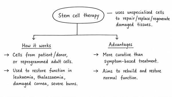 Stem cell therapy is gaining popularity in India to treat a wide variety of medical conditions including Leukaemia, Thalassemia, damaged cornea and severe burns. Describe briefly what stem cell therapy is and what advantages it has over other treatments. (UPSC 2017)
