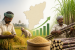 Tamil Nadu Raises Paddy and Sugarcane Procurement Incentives