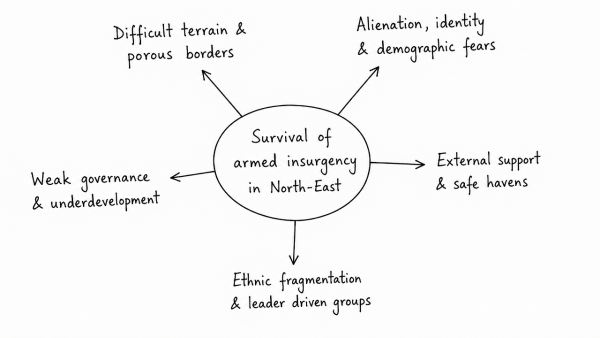 The North-East region of India has been infested with insurgency for a very long time. Analyze the major reasons for the survival of armed insurgency in this region. (UPSC 2017)