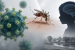 Chandipura Virus Outbreak Prompts Joint Response Team