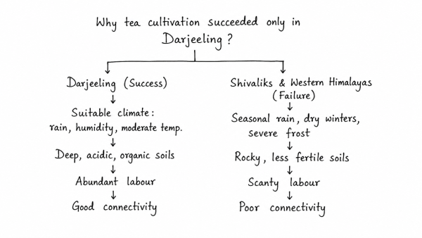 Whereas the British planters had developed tea gardens all along the Shivaliks and Lesser Himalayas from Assam to Himachal Pradesh, in effect they did not succeed beyond the Darjeeling area. Explain. (UPSC 2014)