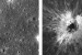NASA Finds New Moon Crater Larger Than Roman Colosseum