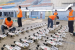 Zero-Human-Intervention Underwater Drones Set World Record