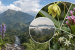 Agasthyamalai Biosphere Reserve Lists 3,261 Flowering Plants