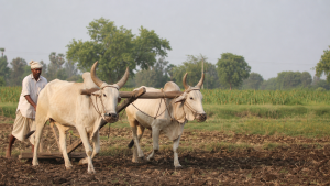 Agrarian Laws and Tenancy Reforms in India