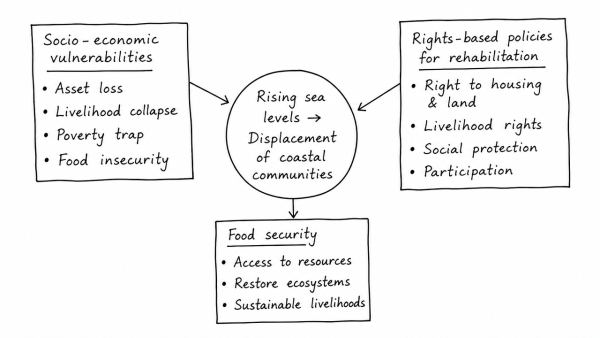 Analyse the socio-economic vulnerabilities of coastal communities displaced by rising sea levels. How can rights-based policies ensure their rehabilitation and food security?