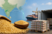 APEDA Facilitates Export of Gulbarga Tur Dal to Maldives