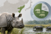 Assam Holds Nearly 80% of World’s Rhino Population