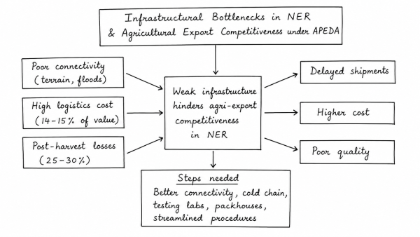 Critically discuss how infrastructural bottlenecks in the North Eastern Region hinder agricultural export competitiveness under APEDA. What steps are needed?