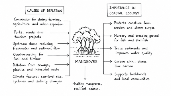 Discuss the causes of the depletion of mangroves and explain their importance in maintaining coastal ecology. (UPSC 2019)
