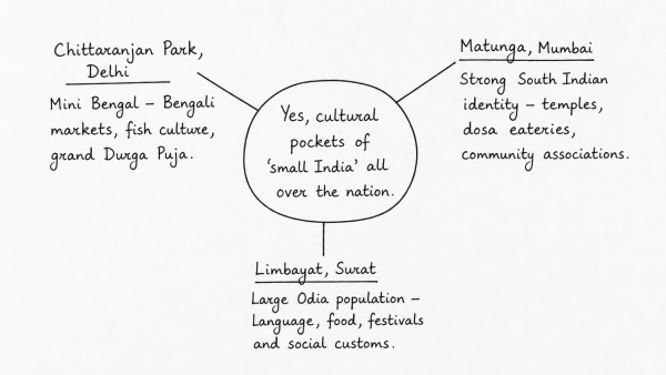 Do we have cultural pockets of small India all over the nation? Elaborate with examples. (UPSC 2019)