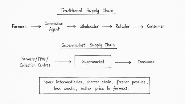 Examine the role of supermarkets in supply chain management of fruits, vegetables and food items. How do they eliminate number of intermediaries? (UPSC 2018)
