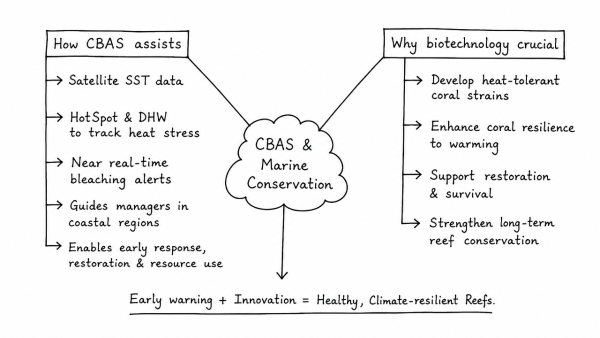 Explain how the Coral Bleaching Alert System (CBAS) assists in marine conservation. Why is biotechnology crucial for developing heat-tolerant coral reefs?