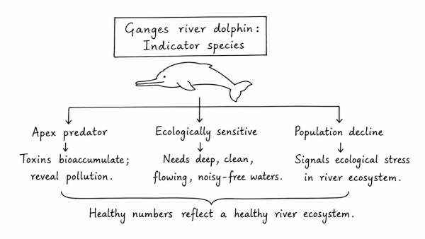 Explain why the Ganges river dolphin is designated as an indicator species. How does its population trend reflect the ecological health of the riverine ecosystem?