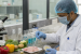 Food Testing, Sampling and Adjudication in India