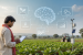 Google Launches India-First Agricultural AI Models