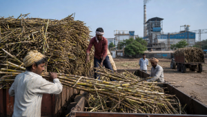 Government Regulation of Sugar Sector in India
