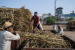 Government Regulation of Sugar Sector in India