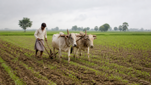 Important Agricultural Terminology and Crop Classification for Prelims
