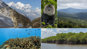 Important Biodiversity Hotspots and Ecoregions in India