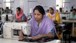 Important Indicators of Women’s Economic Participation