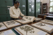 Important National and International Biological Institutions and Museums