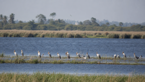 Important Wetlands and Ramsar Sites in India
