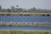 Important Wetlands and Ramsar Sites in India