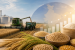 India Sets Foodgrain Production Target for 2026-27