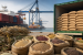 India’s Agricultural Trade Policy and Export Promotion Schemes