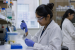 India’s Biotechnology Laws and Regulatory Mechanisms