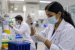 India’s Biotechnology Regulatory Framework and Oversight Bodies