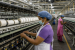 India’s Textile and Apparel Sector