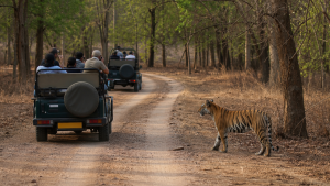 India’s Wildlife Conservation Laws and Committees
