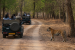 India’s Wildlife Conservation Laws and Committees