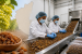 Karnataka Sets Up Raisin Processing Unit in Vijayapura