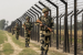 Key Border Security Agencies and Their Roles