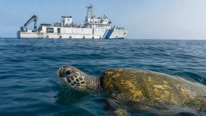 Key Marine Wildlife Conservation Laws and Schemes