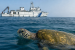 Key Marine Wildlife Conservation Laws and Schemes