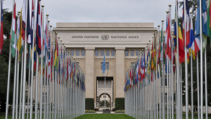 Key UN Agencies and Their Mandates