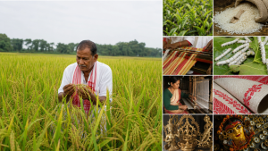 Major GI-Tagged Products from Assam