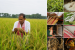 Major GI-Tagged Products from Assam