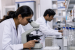 Major Higher Education and Research Schemes