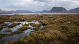 Major Peatlands of the World