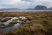 Major Peatlands of the World