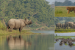 Major Protected Areas and Wildlife Sanctuaries of Assam