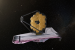 Major Space Telescopes and Missions for Exoplanet Research