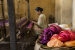 Major Types of Silk in India